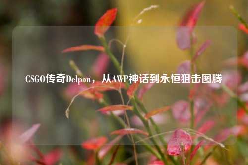 CSGO传奇Delpan,从AWP神话到永恒狙击图腾