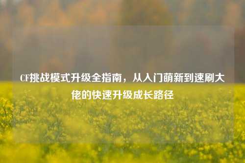 CF挑战模式升级全指南,从入门萌新到速刷大佬的快速升级成长路径