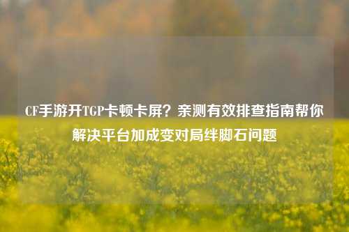 CF手游开TGP卡顿卡屏?亲测有效排查指南帮你解决平台加成变对局绊脚石问题