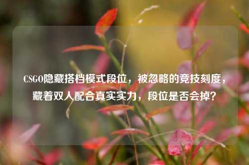 CSGO隐藏搭档模式段位,被忽略的竞技刻度,藏着双人配合真实实力,段位是否会掉?