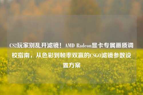 CS2玩家别乱开滤镜！AMD Radeon显卡专属画质调校指南，从色彩到帧率双赢的CSGO滤镜参数设置方案