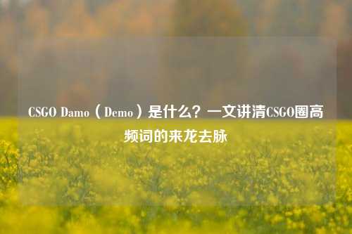 CSGO Damo(Demo)是什么?一文讲清CSGO圈高频词的来龙去脉