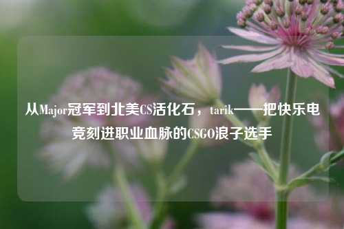 从Major冠军到北美CS活化石,tarik——把快乐电竞刻进职业血脉的CSGO浪子选手