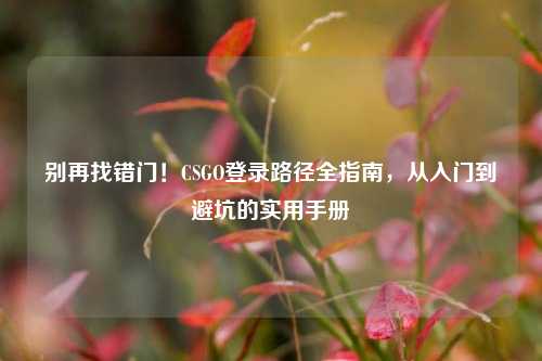 别再找错门!CSGO登录路径全指南,从入门到避坑的实用手册