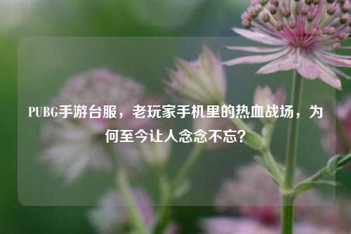 PUBG手游台服，老玩家手机里的热血战场，为何至今让人念念不忘？