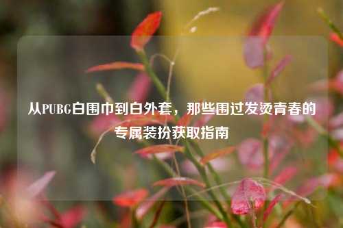 从PUBG白围巾到白外套,那些围过发烫青春的专属装扮获取指南