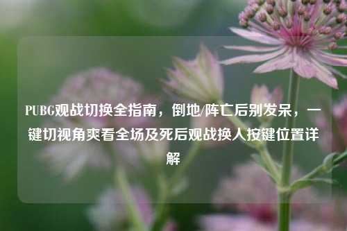 PUBG观战切换全指南,倒地/阵亡后别发呆,一键切视角爽看全场及死后观战换人按键位置详解