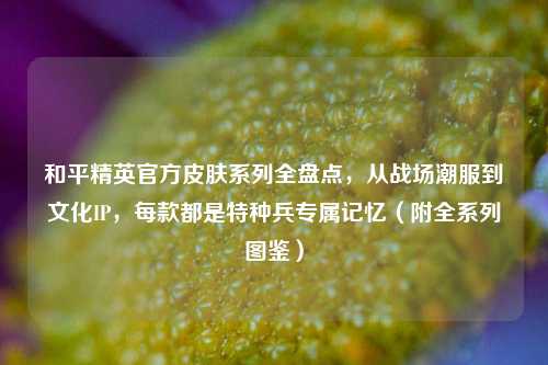 和平精英官方皮肤系列全盘点,从战场潮服到文化IP,每款都是特种兵专属记忆(附全系列图鉴)