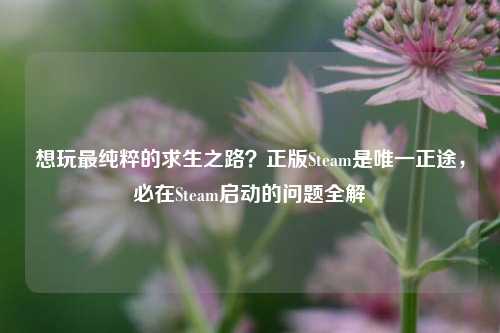 想玩最纯粹的求生之路?正版Steam是唯一正途,必在Steam启动的问题全解