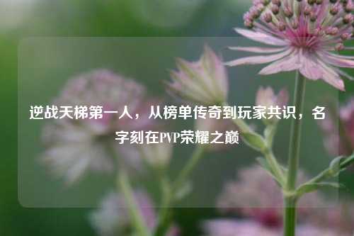 逆战天梯第一人，从榜单传奇到玩家共识，名字刻在PVP荣耀之巅