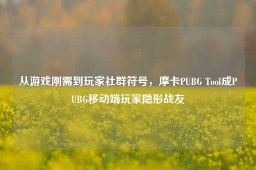 从游戏刚需到玩家社群符号,摩卡PUBG Tool成PUBG移动端玩家隐形战友