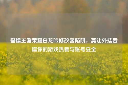 警惕王者荣耀白龙吟修改器陷阱，莫让外挂吞噬你的游戏热爱与账号安全