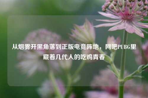 从烟雾开黑角落到正版电竞阵地,网吧PUBG里藏着几代人的吃鸡青春