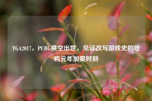 TGA2017，PUBG横空出世，见证改写游戏史的吃鸡元年加冕时刻