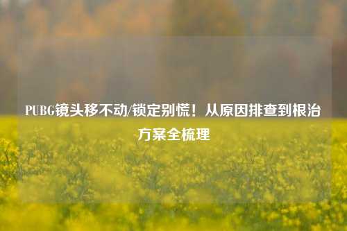 PUBG镜头移不动/锁定别慌!从原因排查到根治方案全梳理