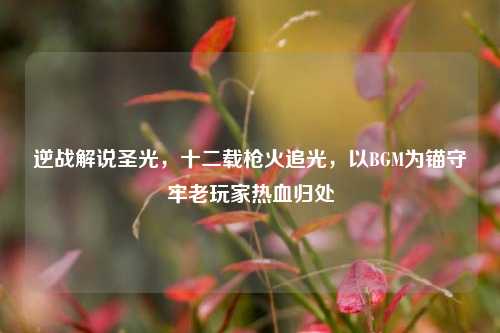 逆战解说圣光,十二载枪火追光,以BGM为锚守牢老玩家热血归处