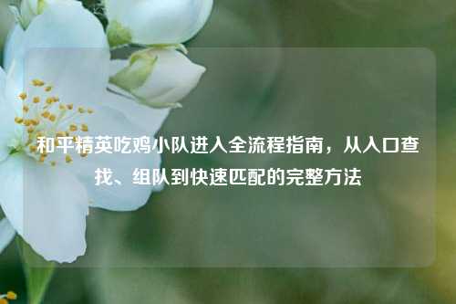 和平精英吃鸡小队进入全流程指南,从入口查找、组队到快速匹配的完整方法