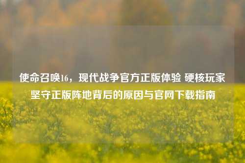 使命召唤16，现代战争官方正版体验 硬核玩家坚守正版阵地背后的原因与官网下载指南