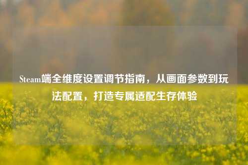 Steam端全维度设置调节指南,从画面参数到玩法配置,打造专属适配生存体验