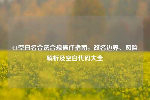 CF空白名合法合规操作指南,改名边界、风险解析及空白代码大全