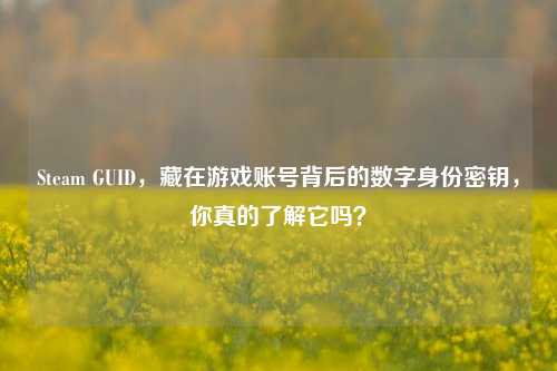 Steam GUID,藏在游戏账号背后的数字身份密钥,你真的了解它吗?