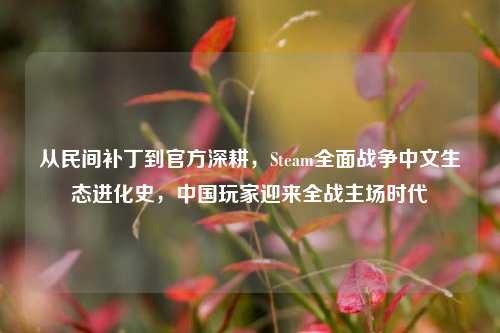 从民间补丁到官方深耕，Steam全面战争中文生态进化史，中国玩家迎来全战主场时代