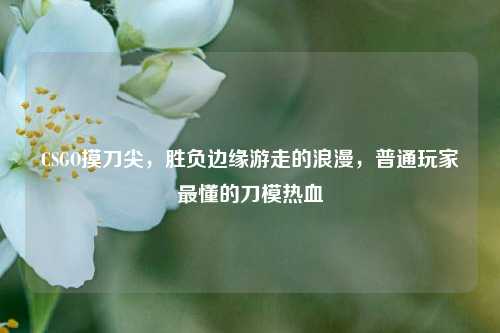 CSGO摸刀尖,胜负边缘游走的浪漫,普通玩家最懂的刀模热血
