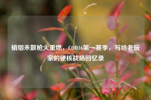 硝烟未散枪火重燃，COD16第一赛季，写给老玩家的硬核战场回忆录