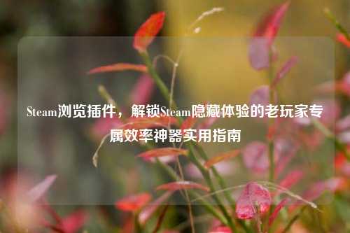 Steam浏览插件,解锁Steam隐藏体验的老玩家专属效率神器实用指南