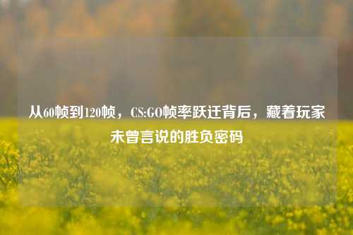 从60帧到120帧,CS:GO帧率跃迁背后,藏着玩家未曾言说的胜负密码