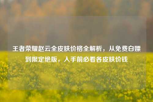 王者荣耀赵云全皮肤价格全解析,从免费白嫖到限定绝版,入手前必看各皮肤价钱