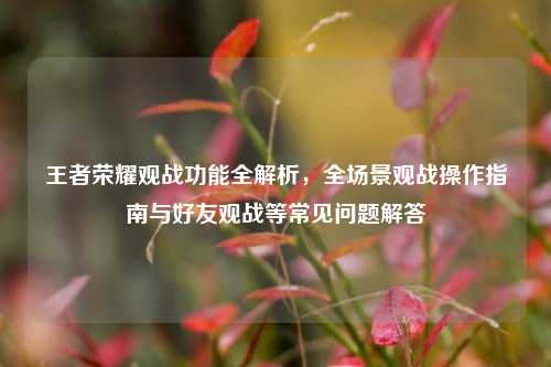王者荣耀观战功能全解析,全场景观战操作指南与好友观战等常见问题解答