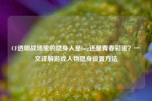 CF透明战场里的隐身人是bug还是青春彩蛋?一文详解游戏人物隐身设置方法