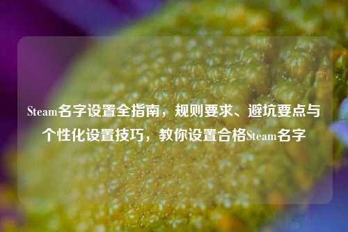 Steam名字设置全指南，规则要求、避坑要点与个性化设置技巧，教你设置合格Steam名字