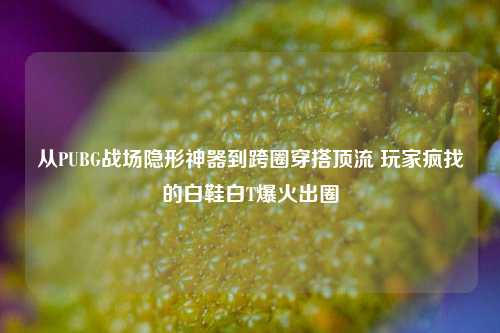 从PUBG战场隐形神器到跨圈穿搭顶流 玩家疯找的白鞋白T爆火出圈
