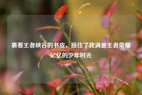 裹着王者峡谷的书皮，接住了我满是王者荣耀记忆的少年时光