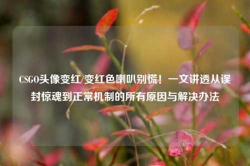 CSGO头像变红/变红色喇叭别慌!一文讲透从误封惊魂到正常机制的所有原因与解决办法