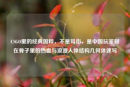 CSGO里的经典国粹，不是骂街，是中国玩家刻在骨子里的热血与浪漫人体结构几何体速写