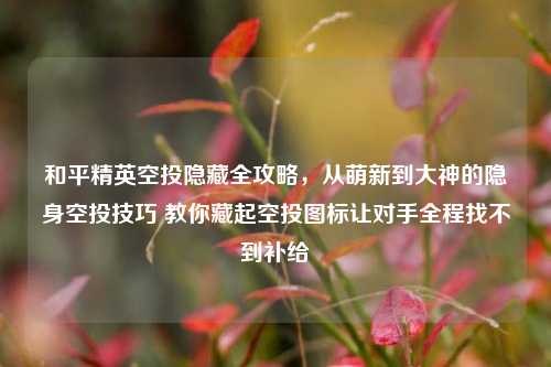 和平精英空投隐藏全攻略，从萌新到大神的隐身空投技巧 教你藏起空投图标让对手全程找不到补给