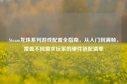 Steam龙珠系列游戏配置全指南,从入门到满帧,覆盖不同需求玩家的硬件适配清单