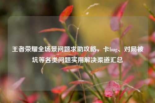王者荣耀全场景问题求助攻略,卡bug、对局被坑等各类问题实用解决渠道汇总