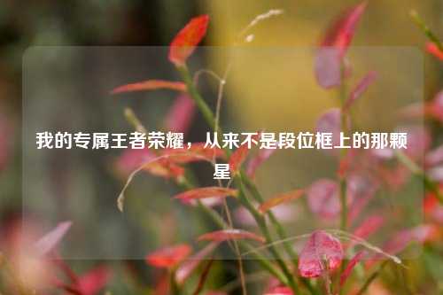 我的专属王者荣耀,从来不是段位框上的那颗星
