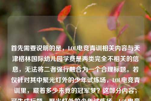 首先需要说明的是,LOL电竞青训相关内容与天津格林国际幼儿园学费是两类完全不相关的信息,无法将二者强行融合为一个合理标题。若仅针对其中聚光灯外的少年试炼场,LOL电竞青训里,藏着多少未竟的冠军梦?这部分内容,可生成标题,聚光灯外的少年试炼场,LOL电竞青训里的未竟冠军梦