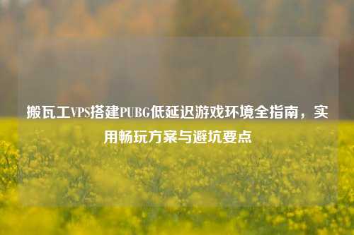 搬瓦工VPS搭建PUBG低延迟游戏环境全指南，实用畅玩方案与避坑要点