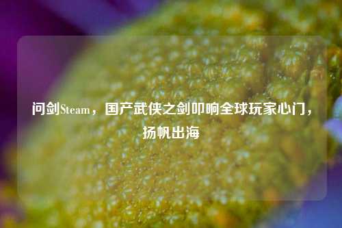 问剑Steam，国产武侠之剑叩响全球玩家心门，扬帆出海