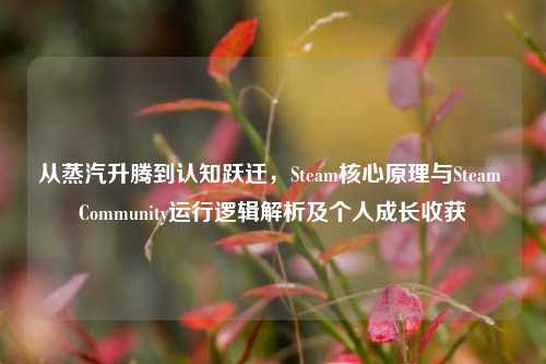 从蒸汽升腾到认知跃迁,Steam核心原理与Steam Community运行逻辑解析及个人成长收获