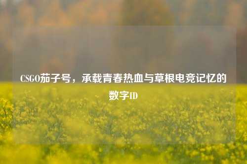 CSGO茄子号，承载青春热血与草根电竞记忆的数字ID