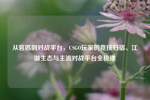 从官匹到对战平台,CSGO玩家的竞技归宿、江湖生态与主流对战平台全梳理