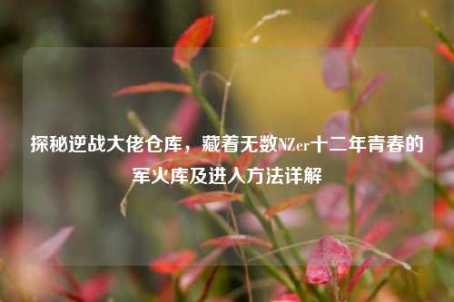 探秘逆战大佬仓库，藏着无数NZer十二年青春的军火库及进入方法详解