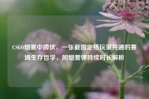 CSGO烟雾中蹲伏,一张截图定格玩家共通的赛场生存哲学,附烟雾弹持续时长解析